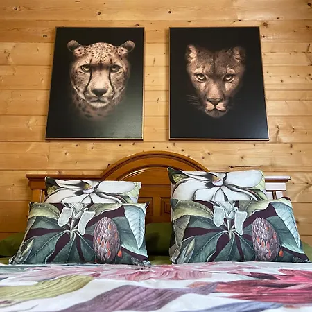 Almazara Holiday home *